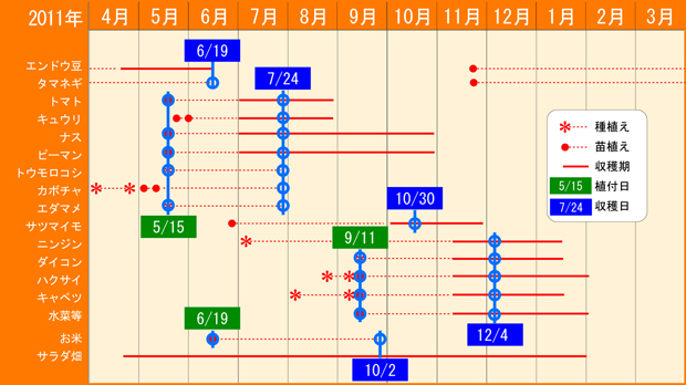 2011年度植付日程